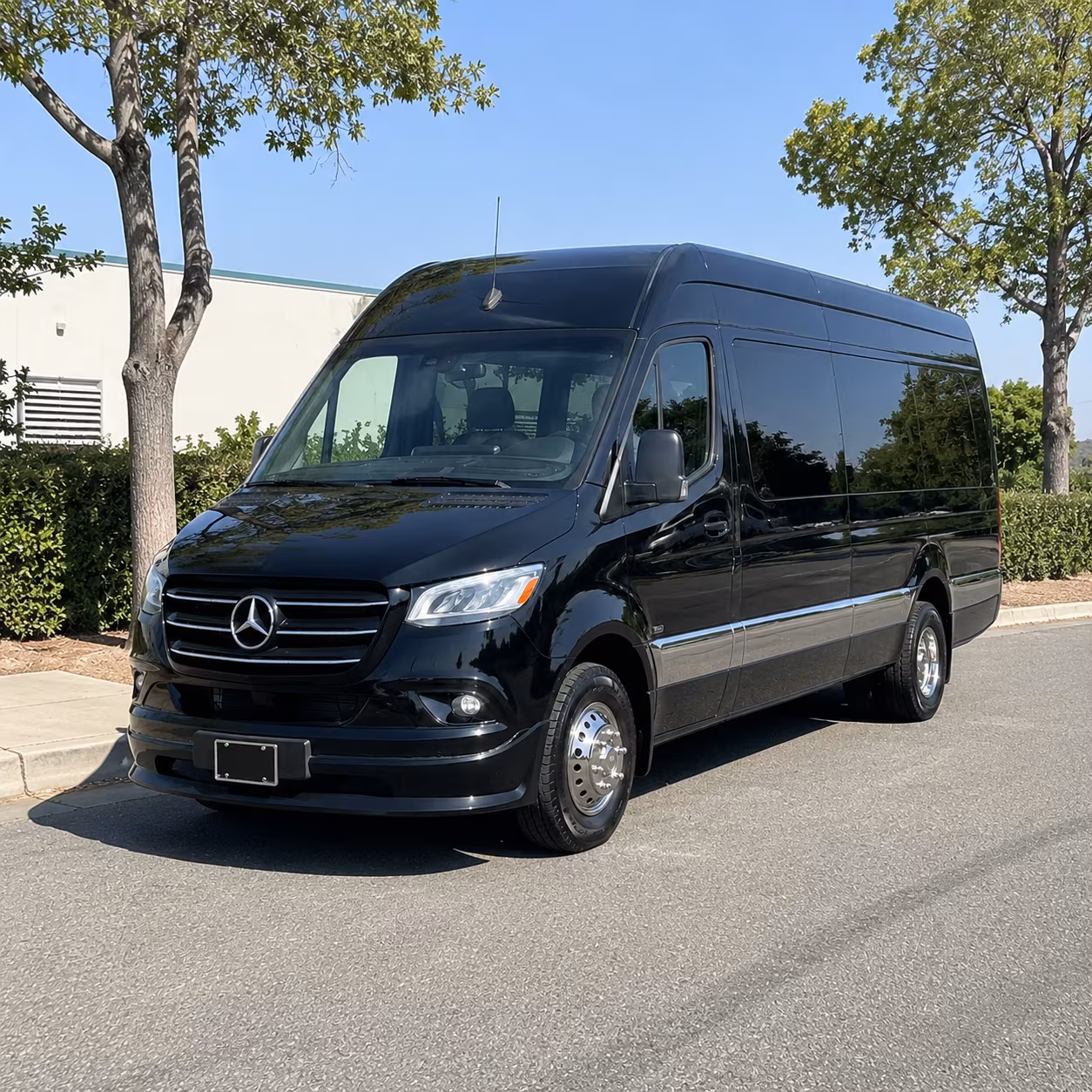 18 passenger sprinter van