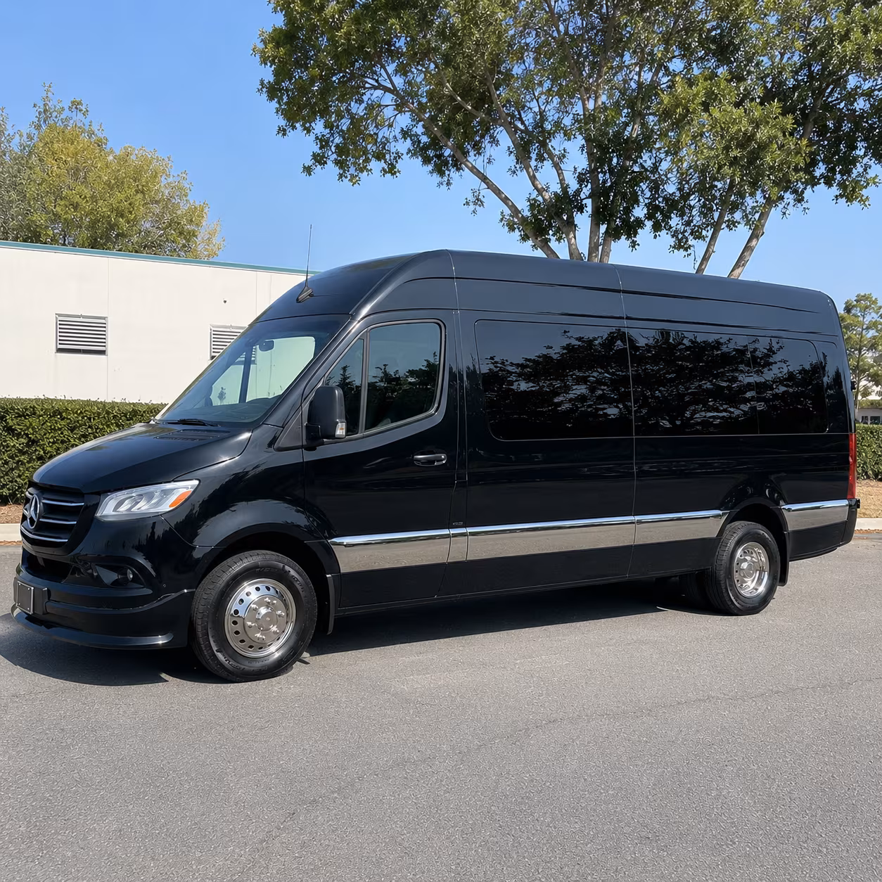find the perfect transportation for your next birthday 5